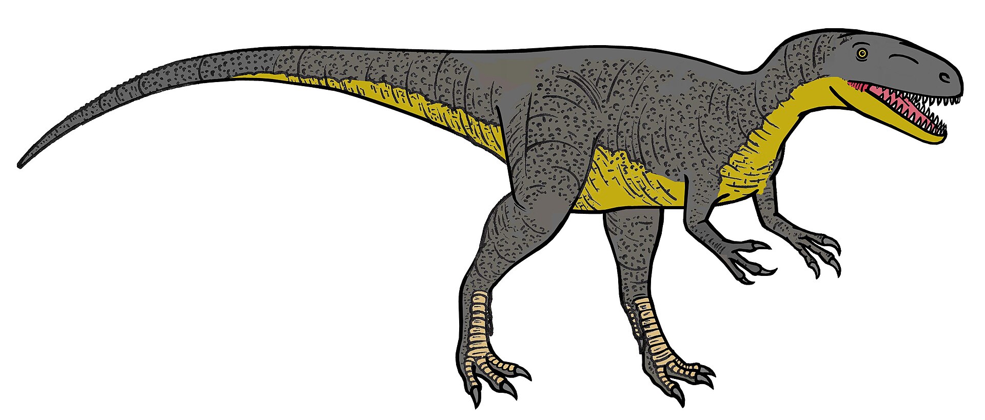 Megalosaurus