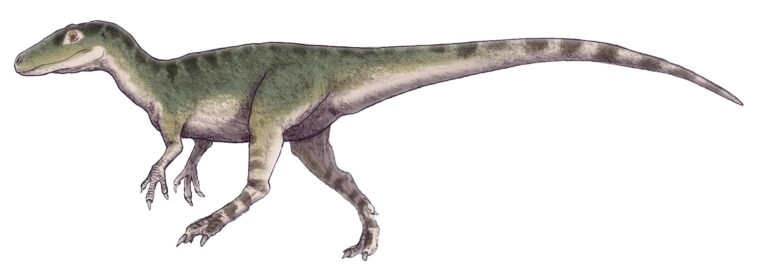 Magnosaurus (Magnosaurus)