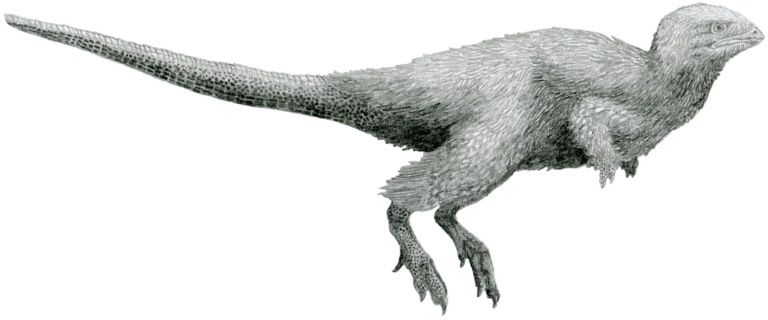 Kulindadromeus