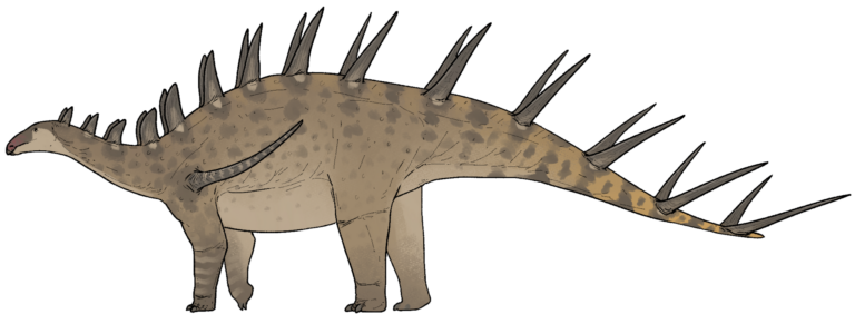 Kentrosaurus Kentrosaurus (Kentrosaurus)