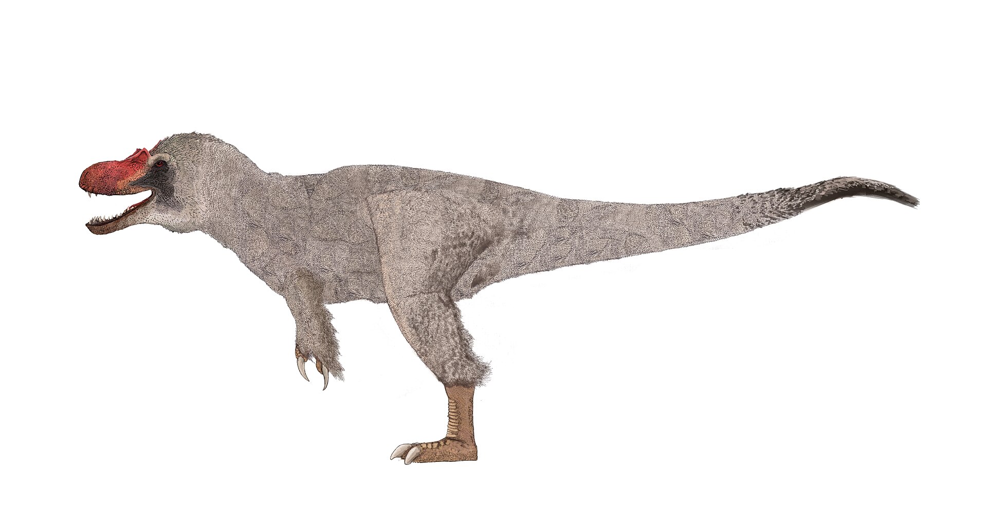 Dryptosaurus