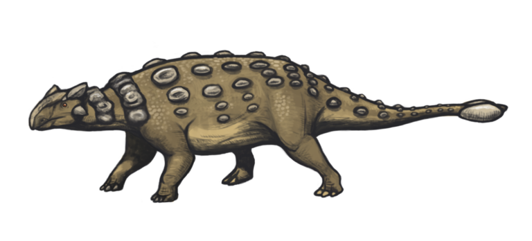 Ankylosaurus