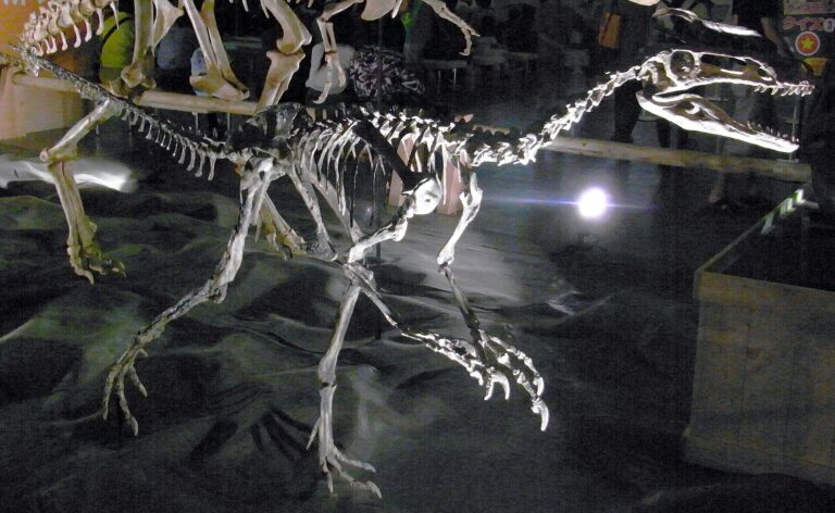 Guanlong