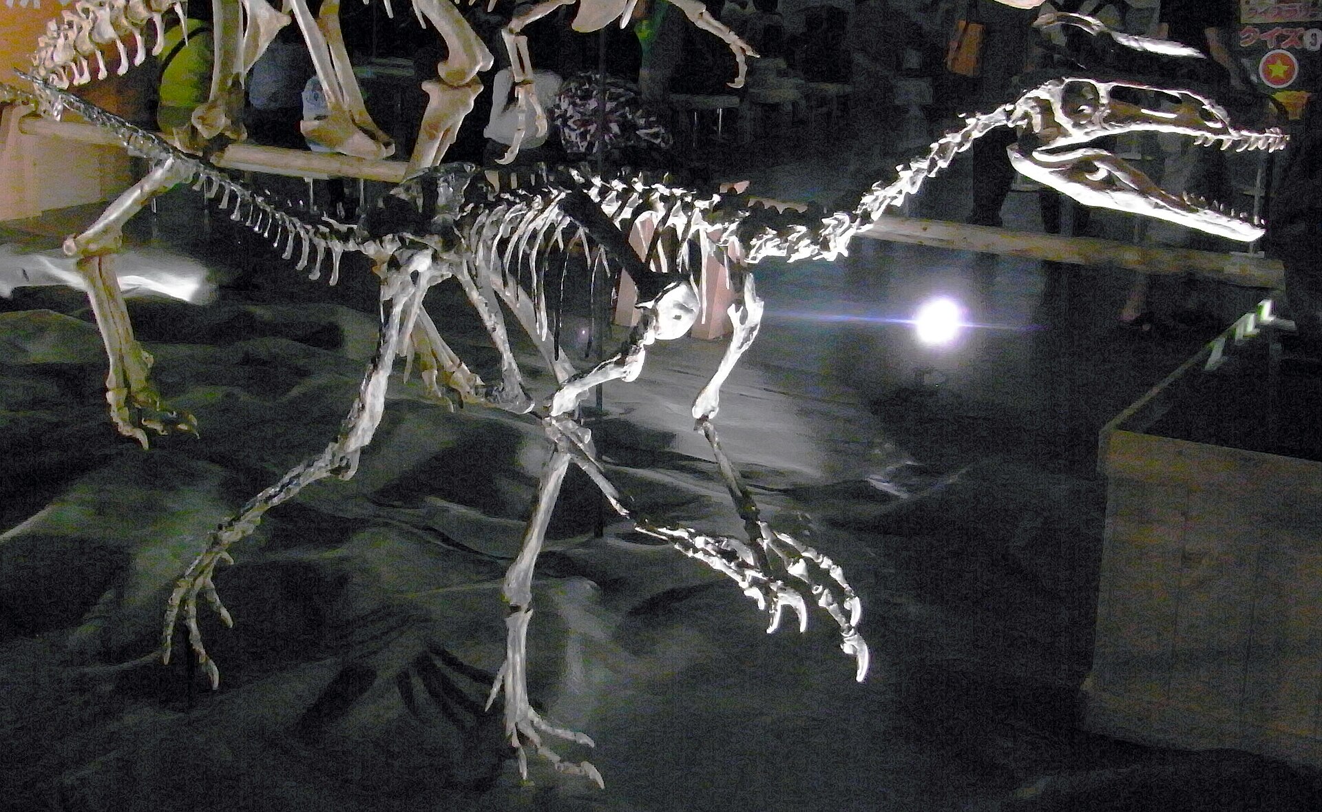 Guanlong