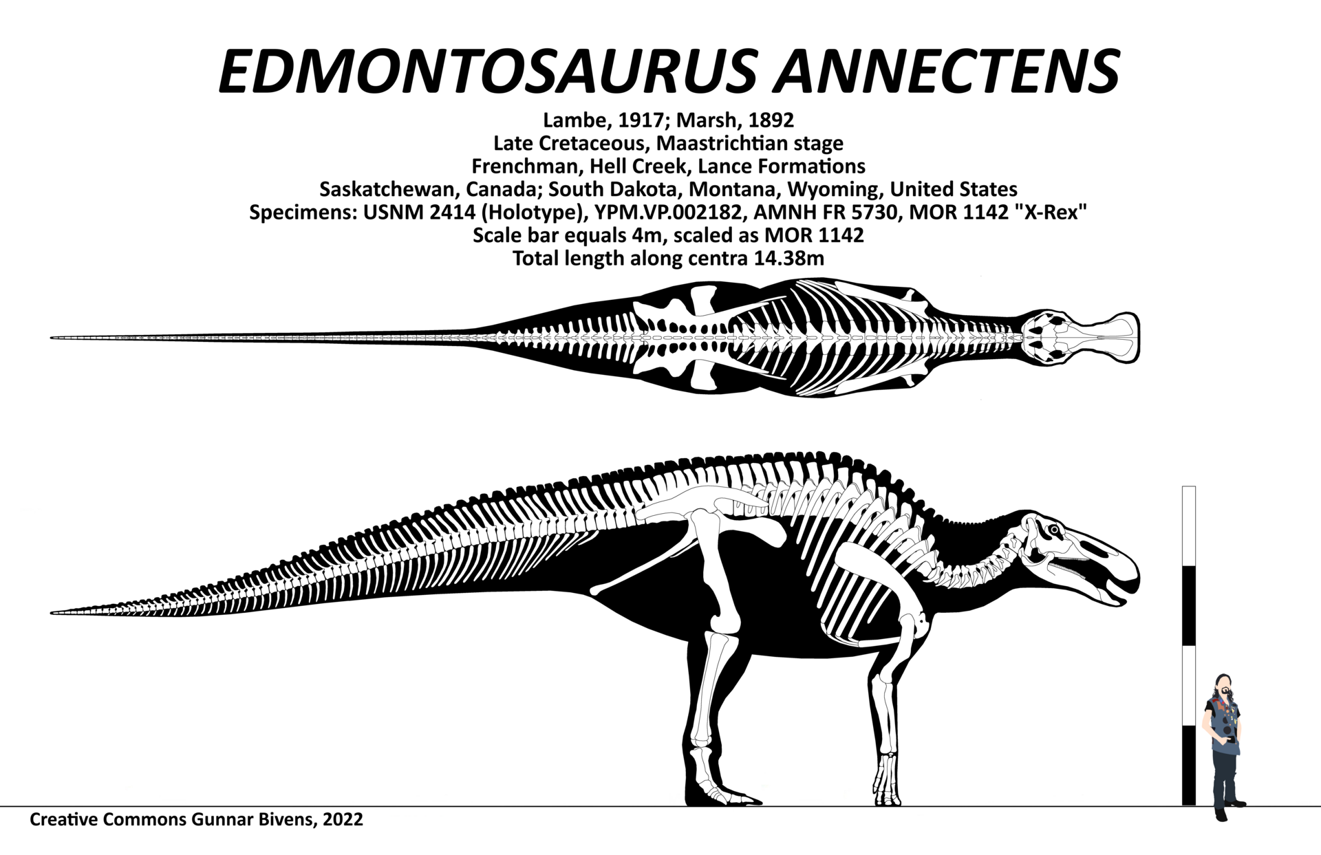 Edmontosaurus
