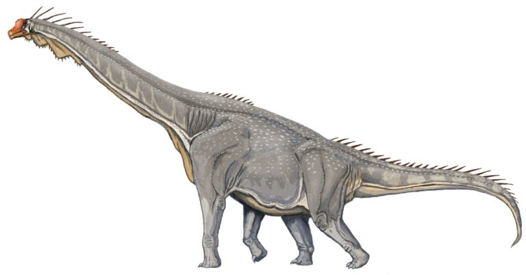 Brachiosaurus (Brachiosaurus)
