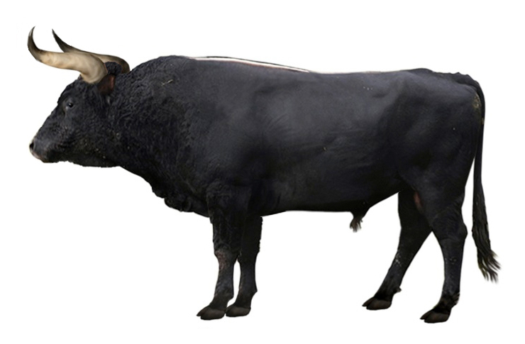 Pratur