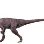berberosaurus-dinosaurs2