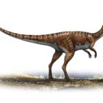 coelophysis-bauri-a-prehistoric-era-sergey-krasovskiy_aab2