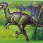 elopteryx-nopcsai_28928_20226116d24ca3L_384a