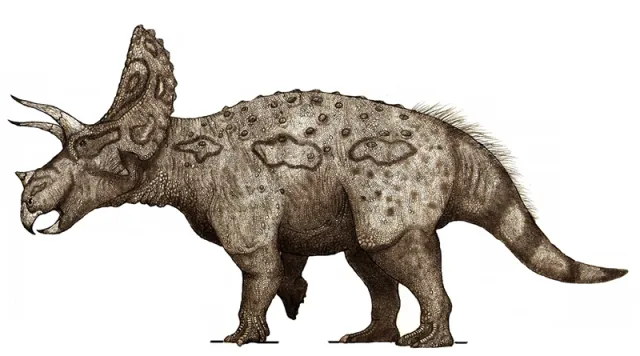 Eotriceratops