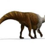 euskelosaurus-dinosaur-2-big