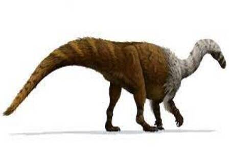 Euskelosaurus
