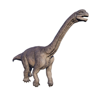 Camarasaurus
