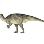jinzhousaurus_by_cisiopurple_d9u2yn8-fullview