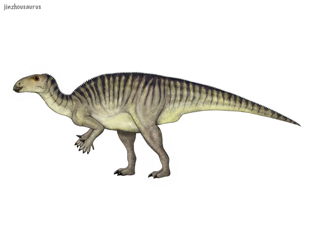 Jinzhousaurus