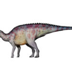 kritosaurus_by_cisiopurple_da671jy-fullview