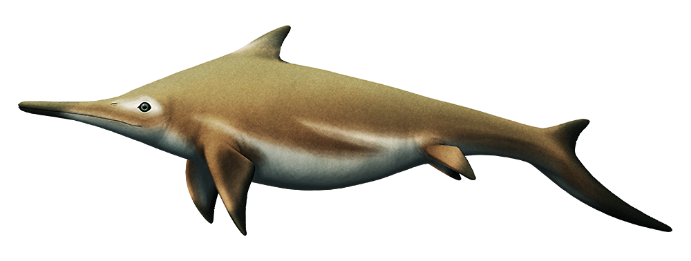 Mixosaurus