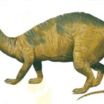 mussaurus_5df7
