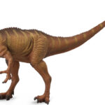 neovenator_1_40_2