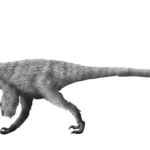 ornitholestes-v0-osqdogr9hgsb1
