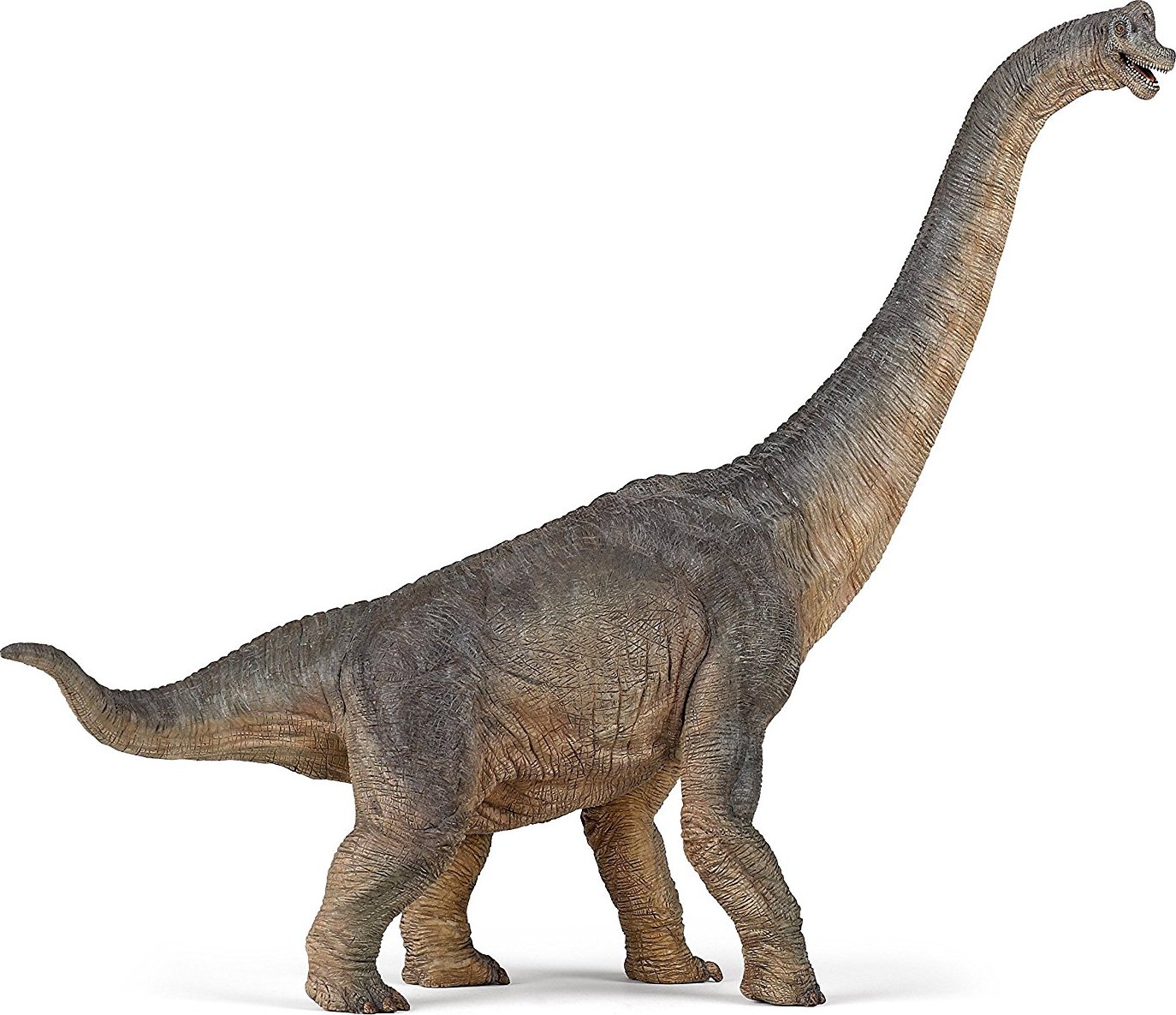 Argentinosaurus