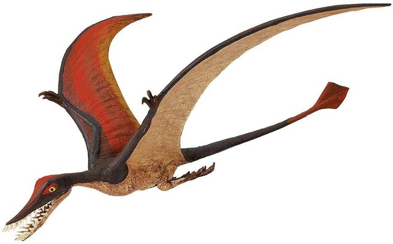 Rhamphorhynchus