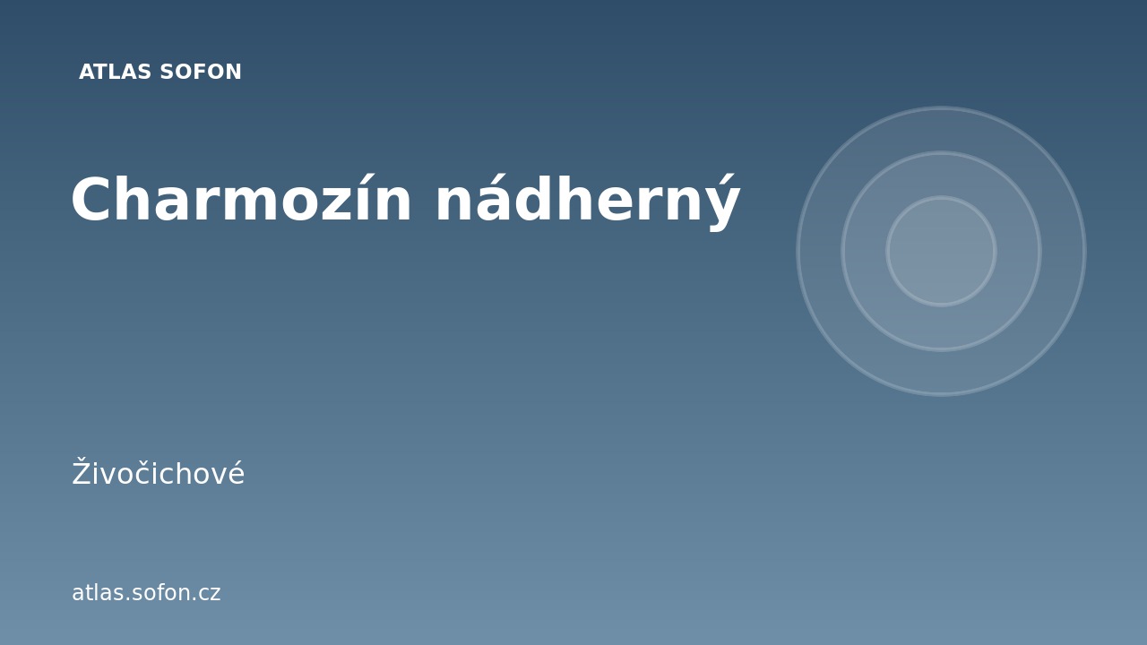 Charmozín nádherný