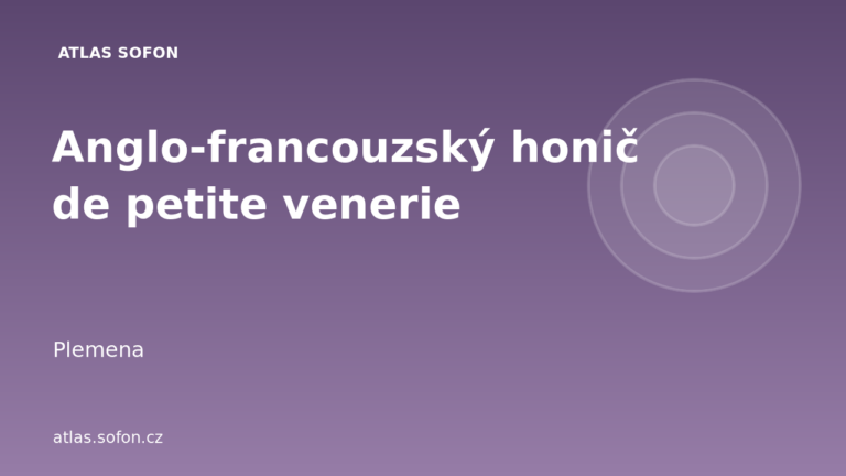 Anglo-francouzský honič de petite venerie Anglo-francouzský honič de petite venerie