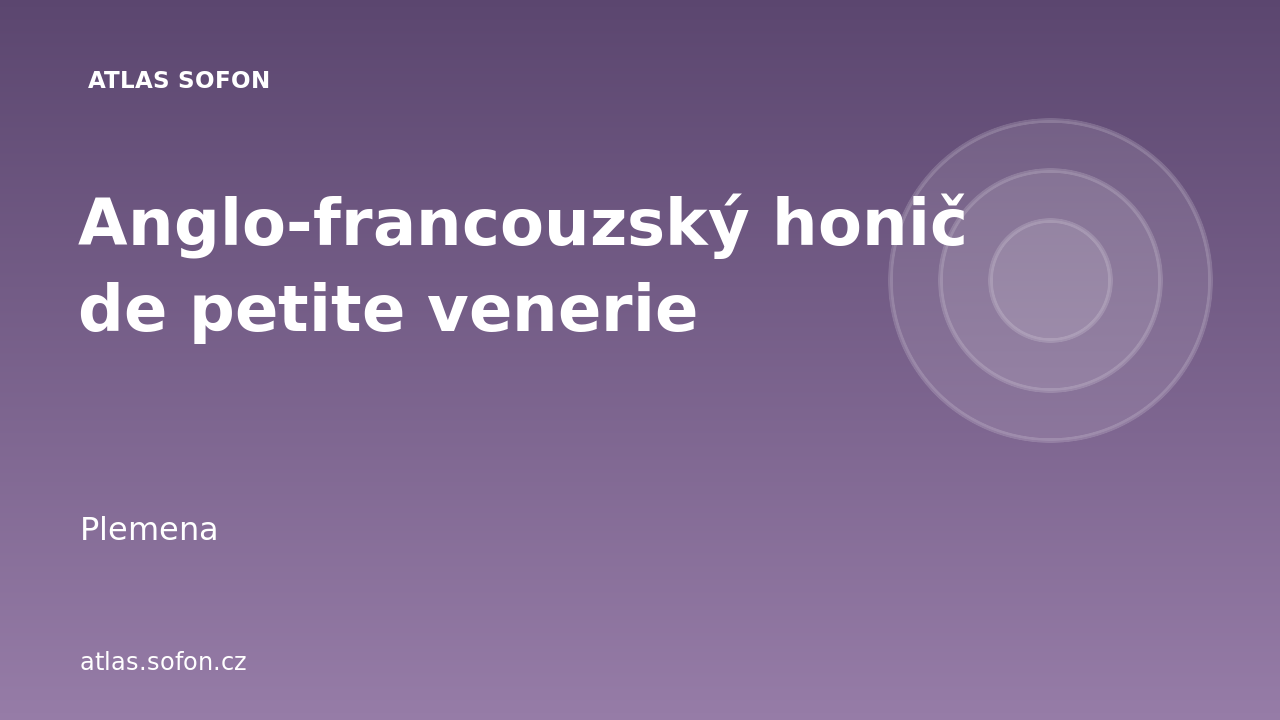 Anglo-francouzský honič de petite venerie