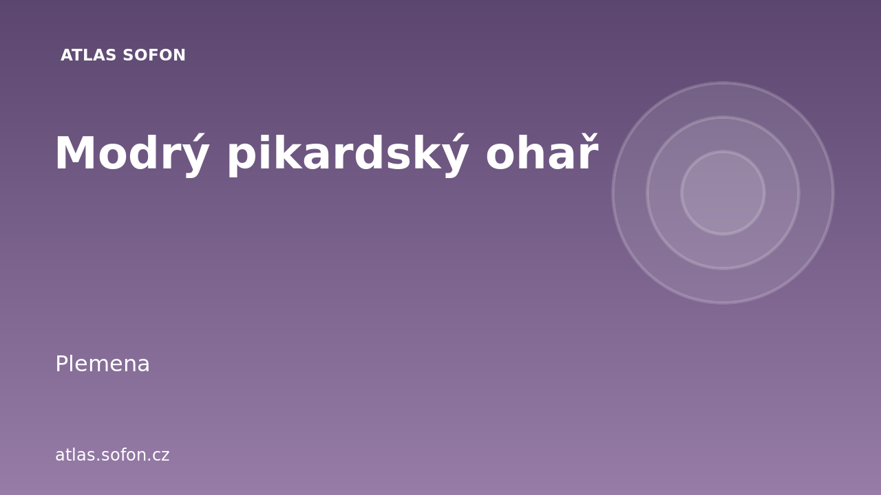 Modrý pikardský ohař