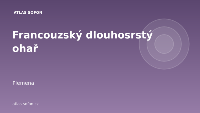Francouzský dlouhosrstý ohař