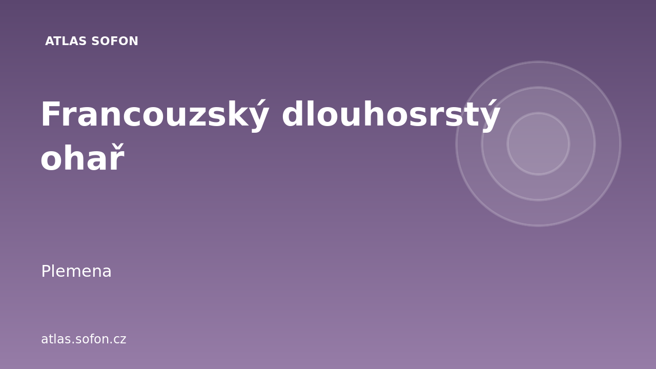 Francouzský dlouhosrstý ohař