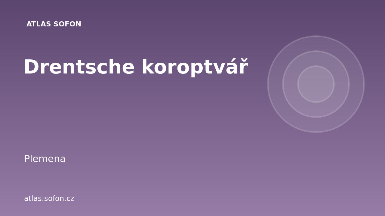 Drentsche koroptvář