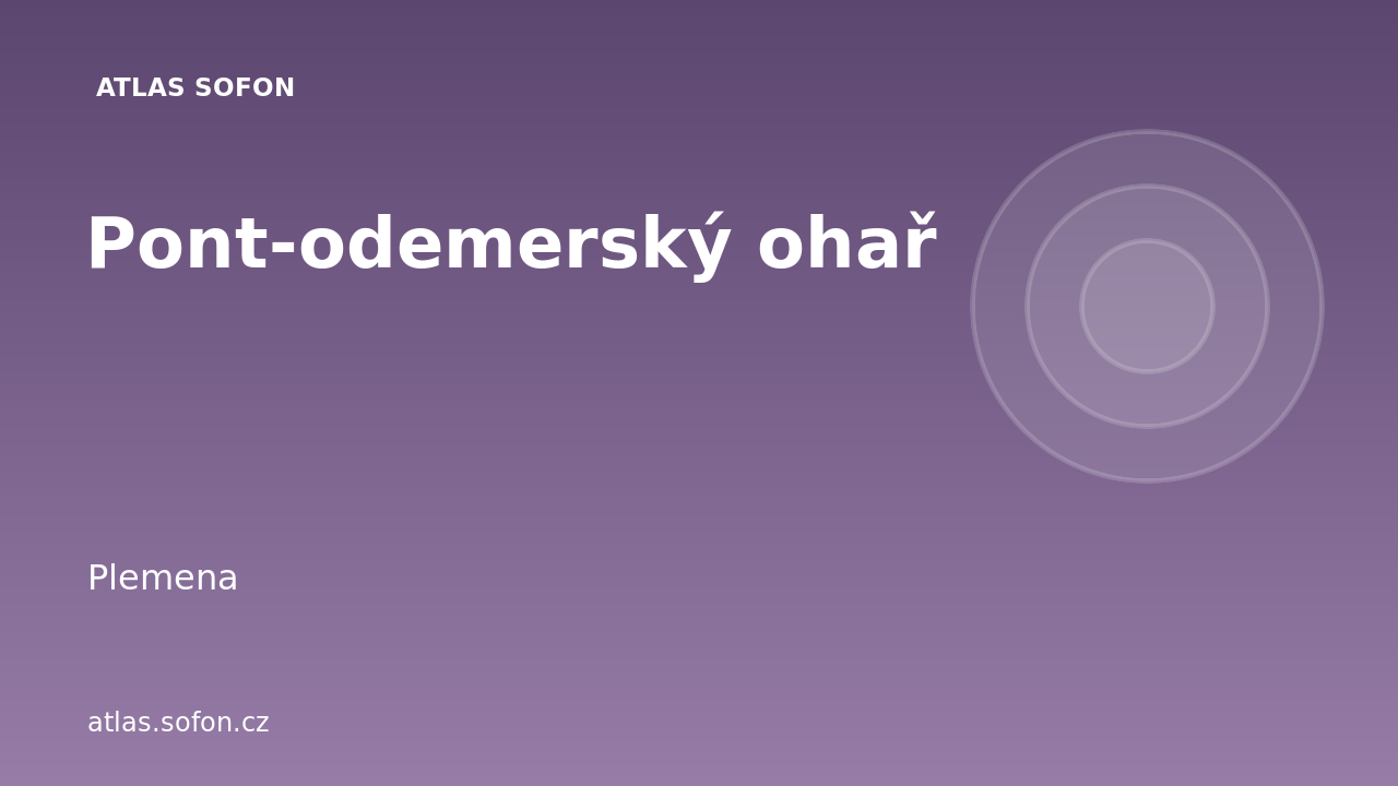 Pont-odemerský ohař