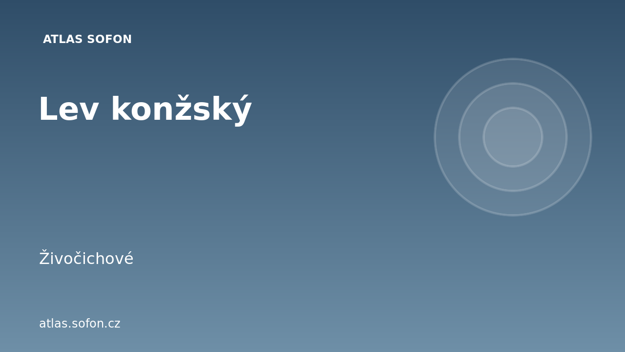 Lev konžský