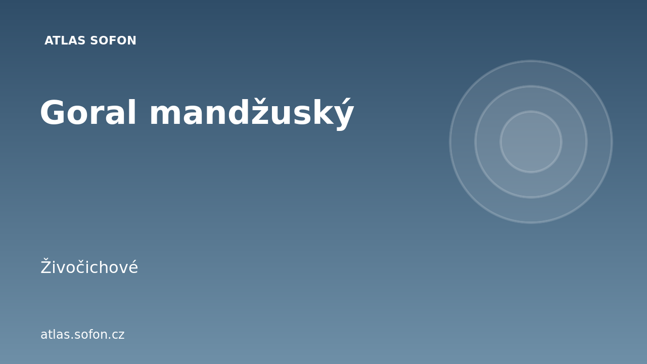 Goral mandžuský