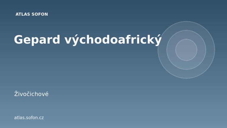 Gepard východoafrický