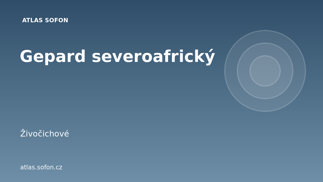 Gepard severoafrický