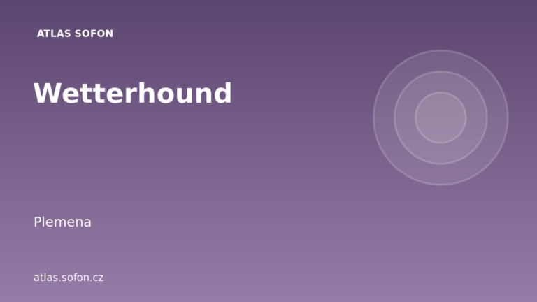 Wetterhound