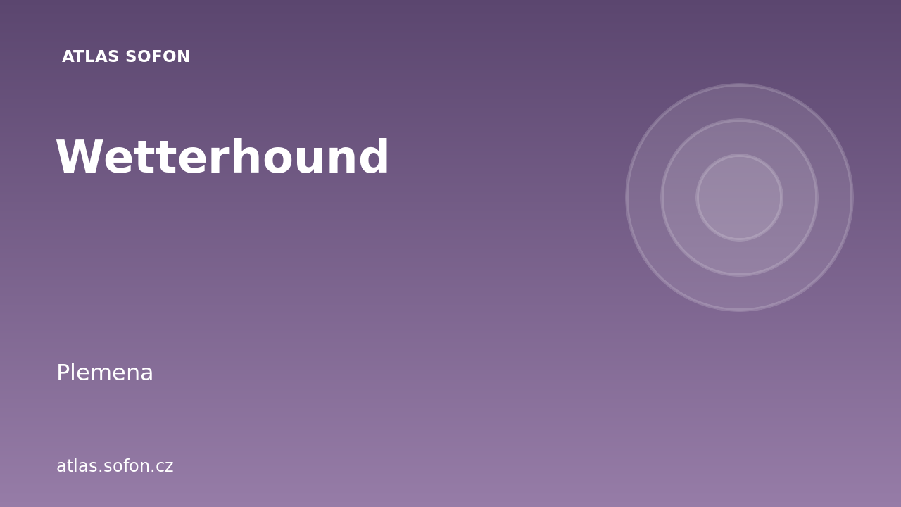 Wetterhound
