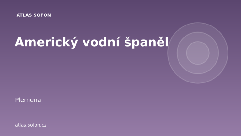 Americký vodní španěl