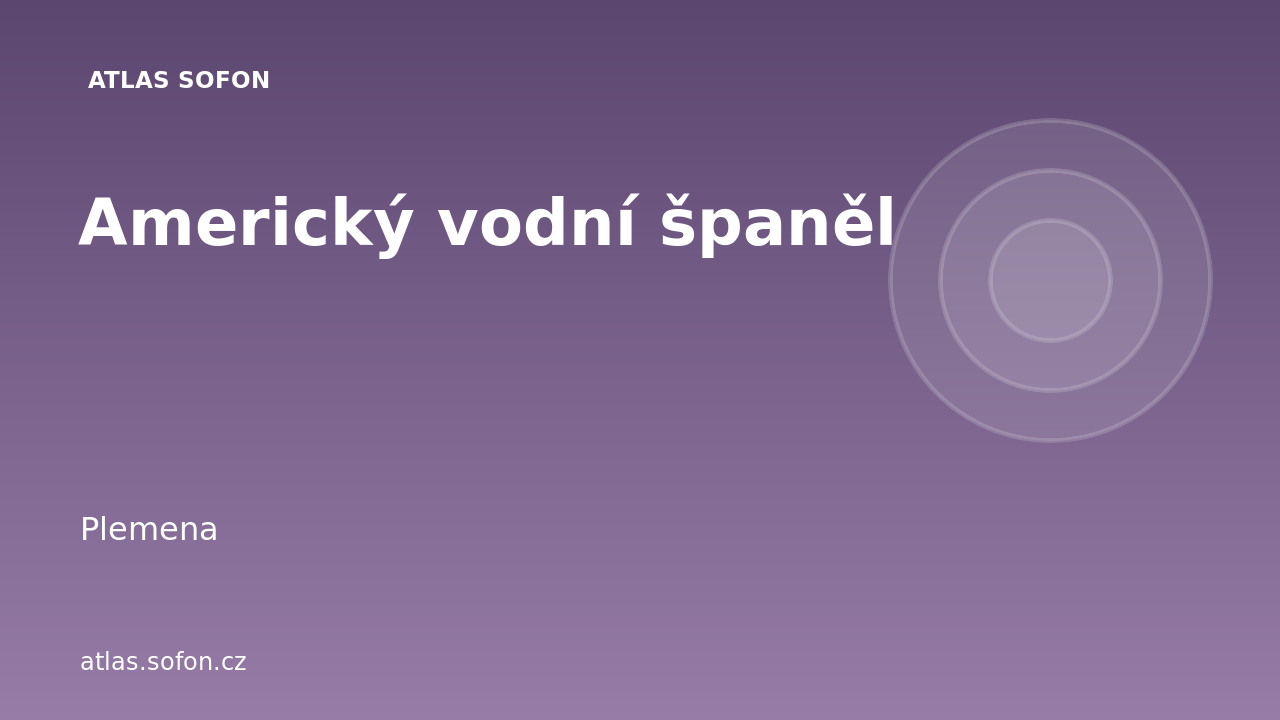 Americký vodní španěl