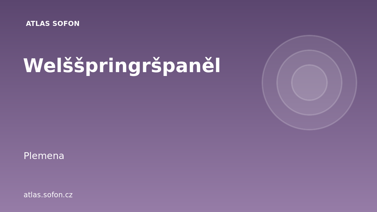 Welššpringršpaněl