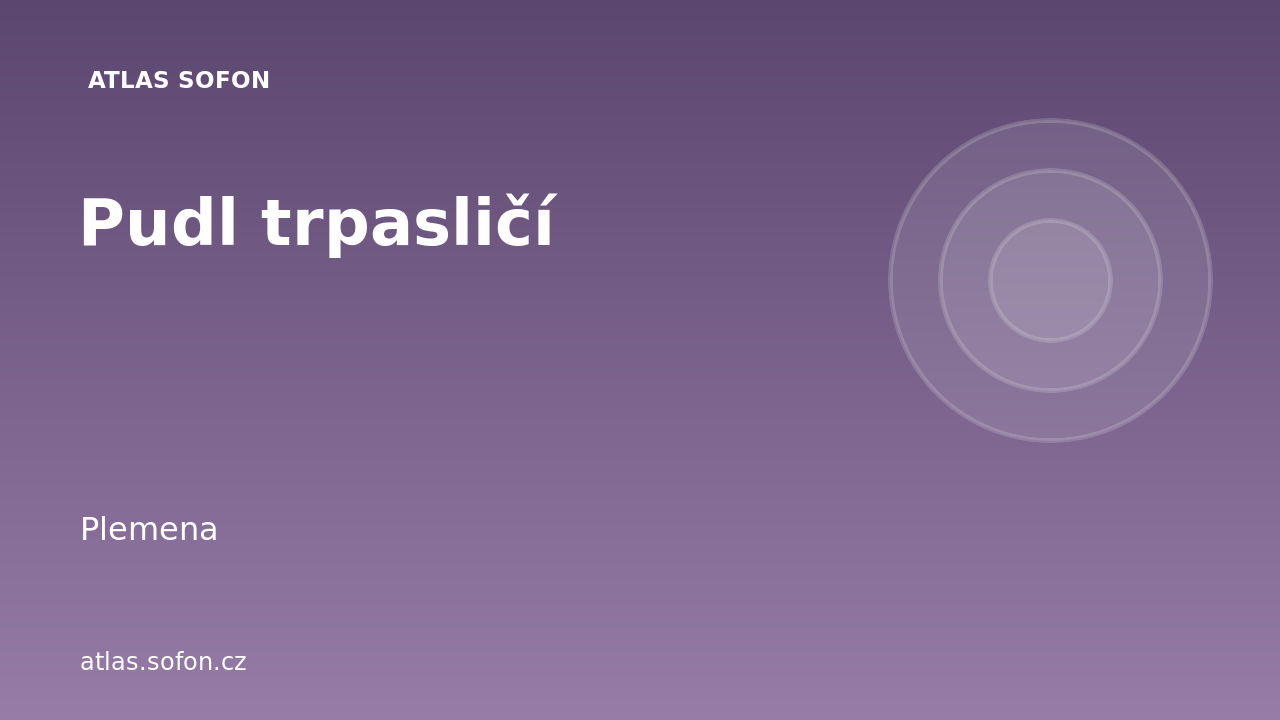 Pudl trpasličí