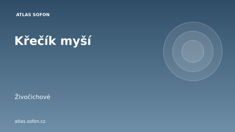 Křečík myší