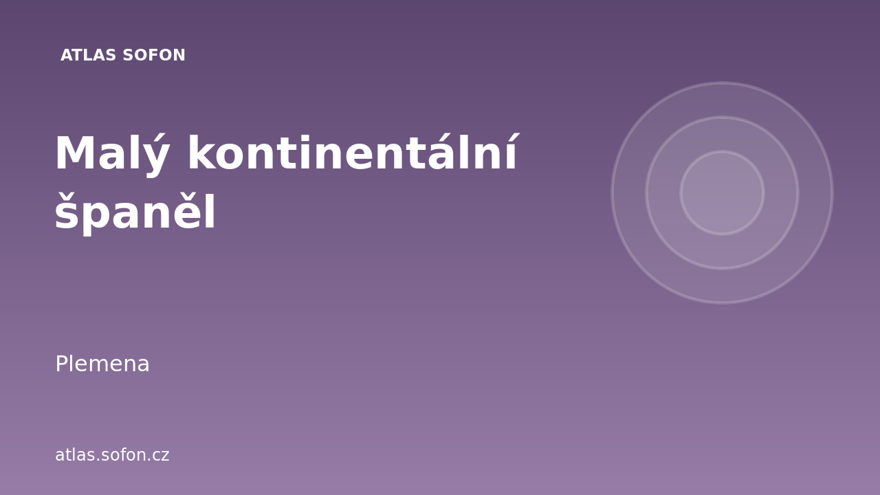 Malý kontinentální španěl