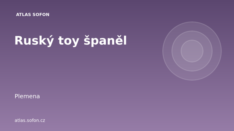 Ruský toy španěl Ruský toy španěl