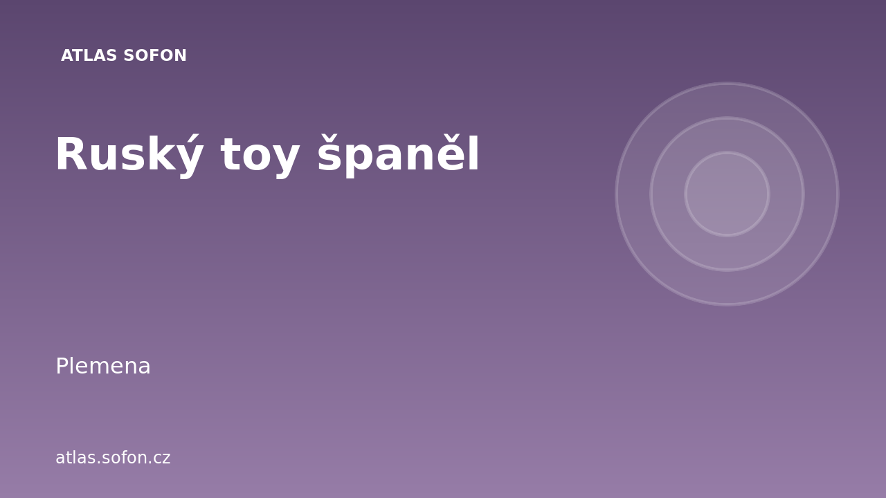 Ruský toy španěl
