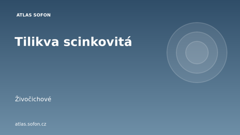 Tilikva scinkovitá